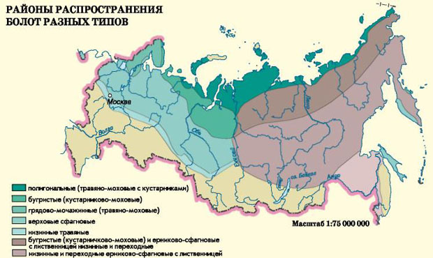 Распространение заболоченных территорий в России. Карта болот России.