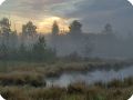 Туманное утро над болотами.